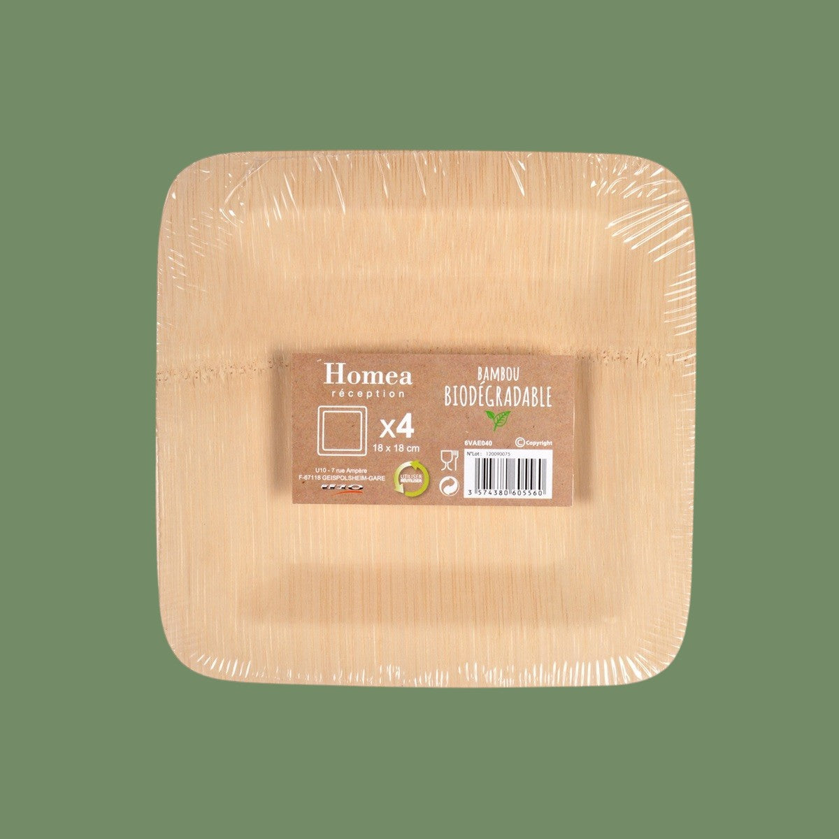 Lot de 4 assiettes en bambou biodégradable — Taille M 18 cm ou Taille L 25 cm
